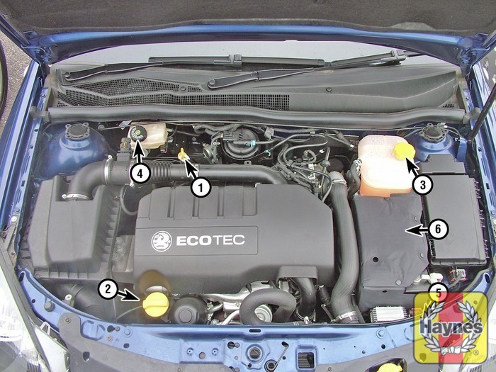 Holden Astra Zafira TS TT 1998 2005 Gregorys Service ... vauxhall insignia rear light wiring diagram 
